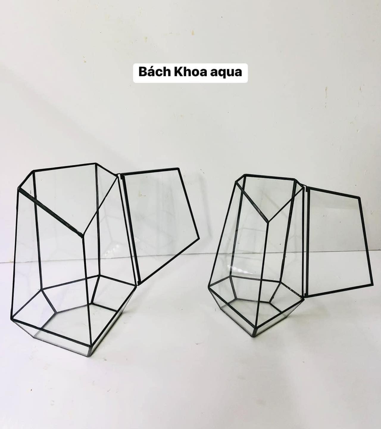 Bể kính đa giác Terrarium bán cạn